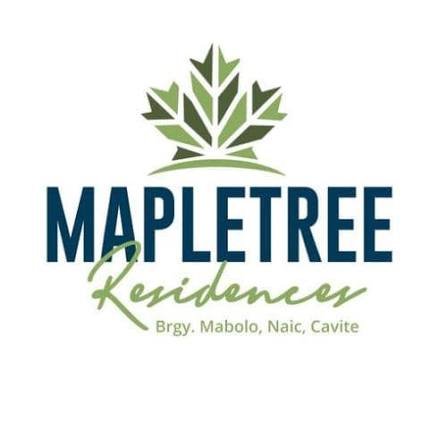 Maple Tree